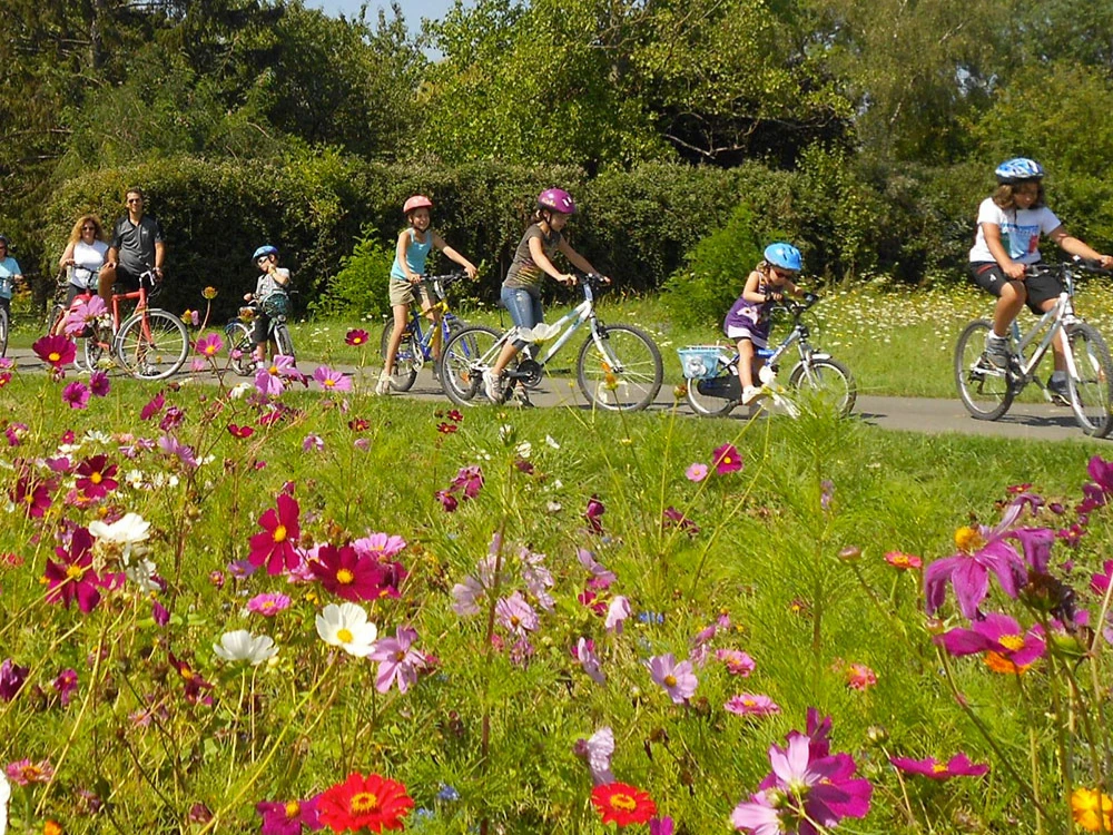 5 good reasons to go in the spring with your own children on bikes