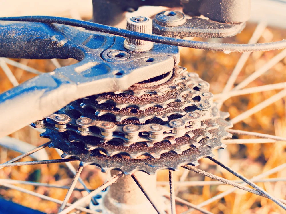 Adjusting the bike's gear: how and when to do it