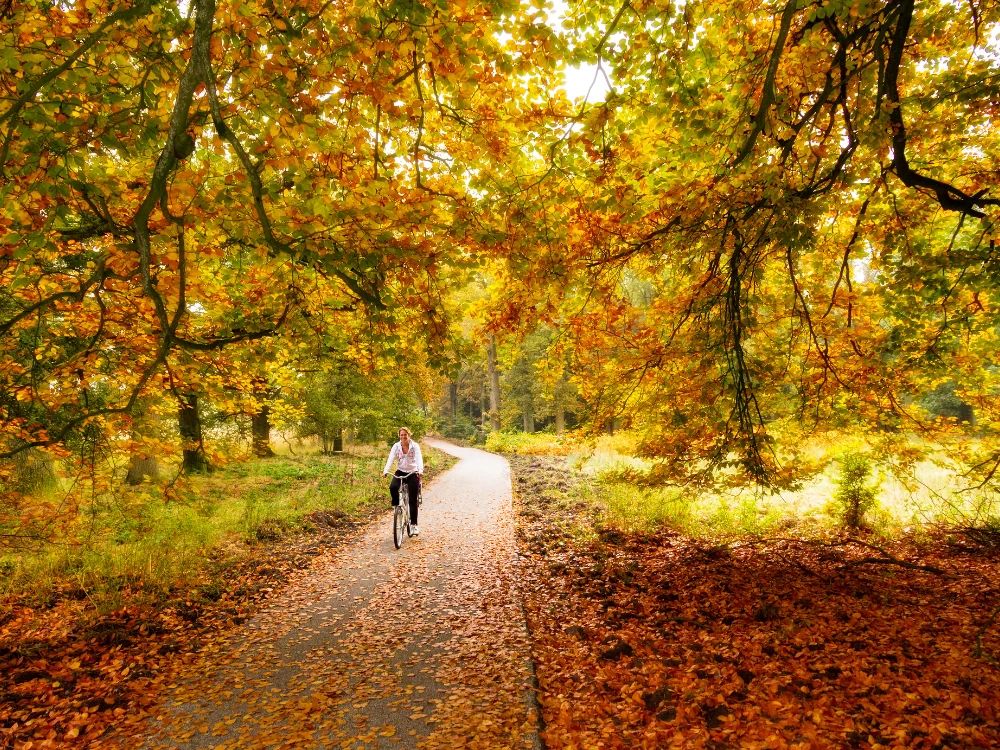 Autumn weekend by bike: 5 destinations that are even more beautiful in autumn