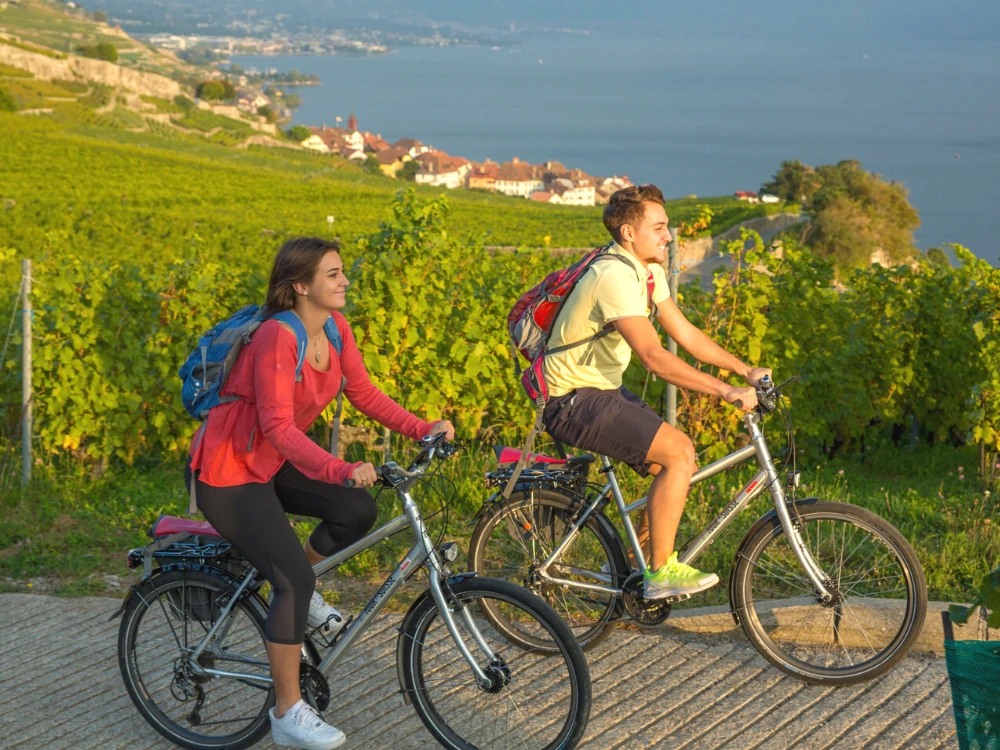 bike-path-rhone-via-rhona-bike image