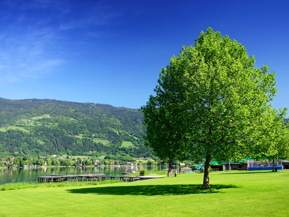 Discover Carinthia: 5 good reasons to take a trip to Austria
