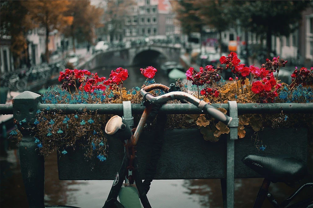 Documentaries about bicycles: when the bike is a lifestyle