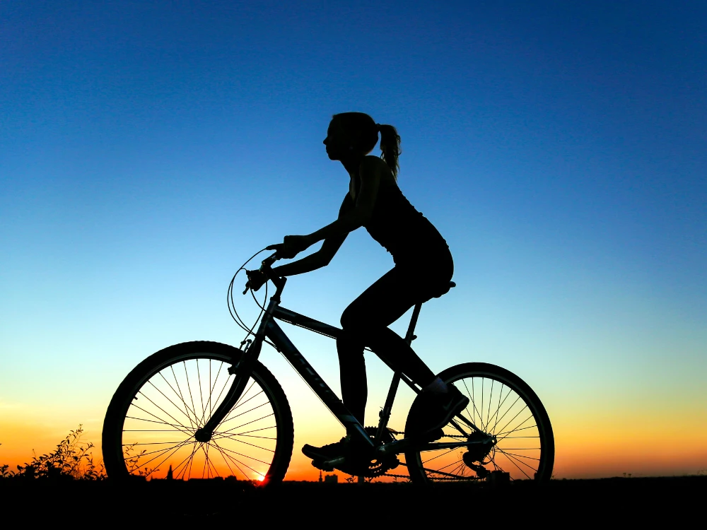 Profile of the cycle tourist