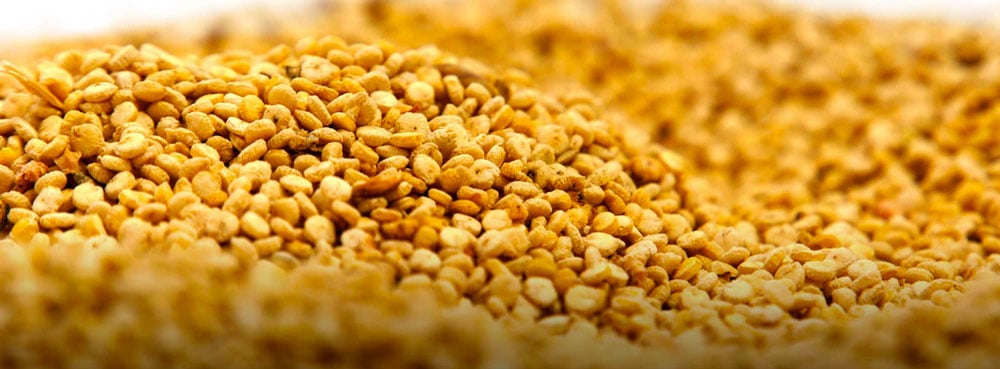 5-traditional-Salento-dishes-that-will-blow-your-mind-granu-stumpatu-04-2