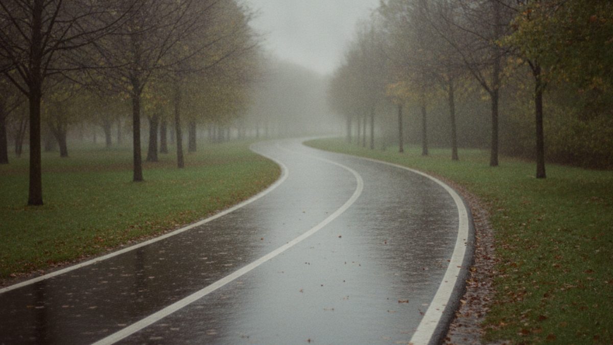 Wet cycle path scattered with fallen leaves after heavy rain, the surface that makes braking and cornering slippery