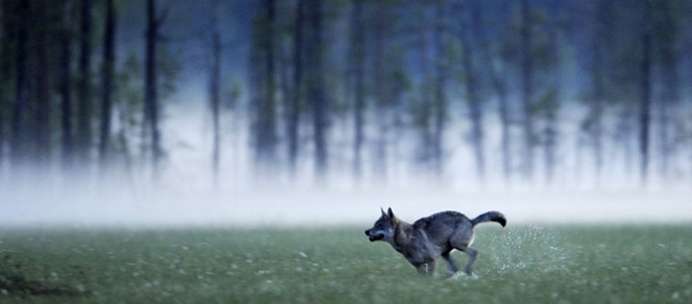 posti-da-favola-5-itinerari-per-sentirsi-in-una-fiaba-03-kuhno-2