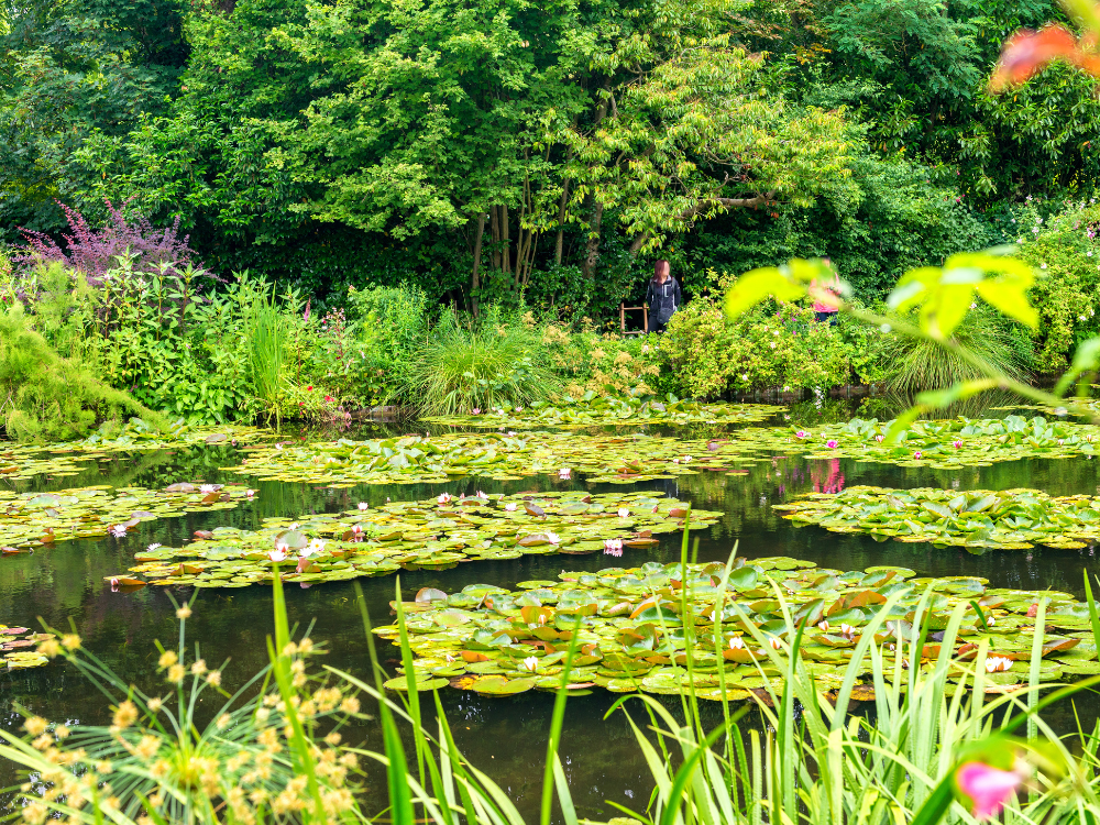 Progetto20senza20titolo201-4