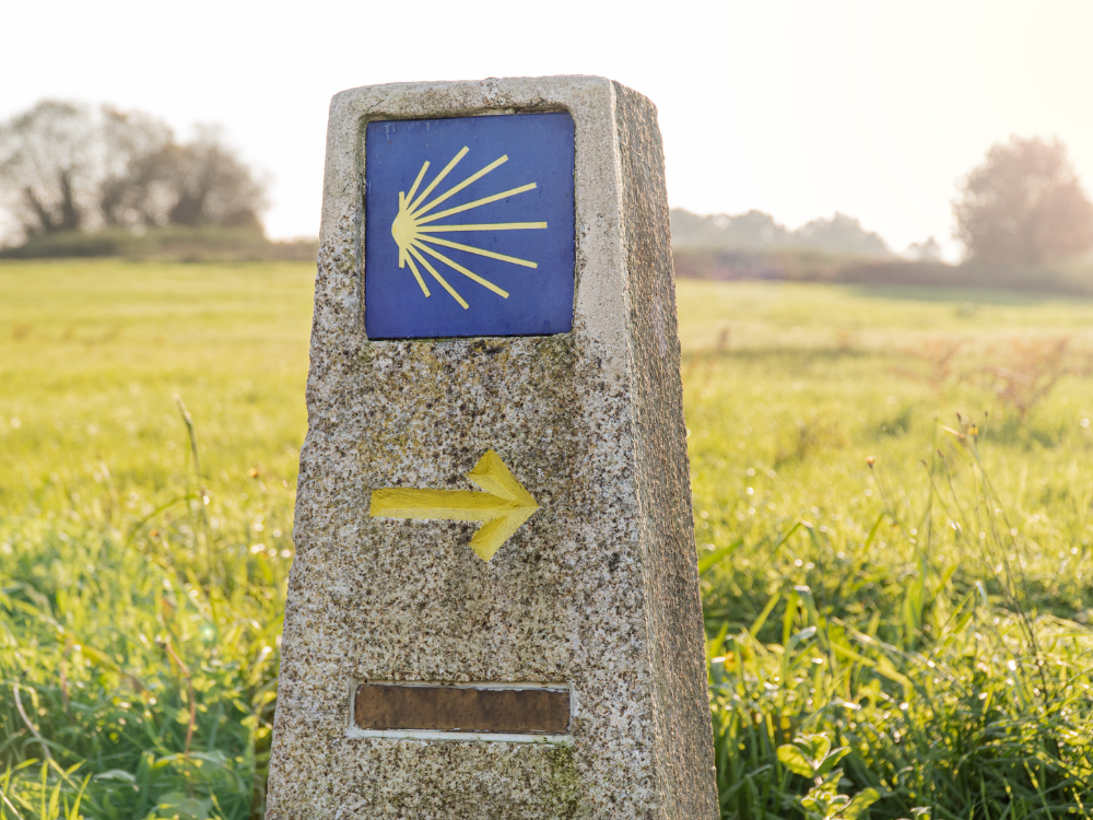 Progetto20senza20titolo-May-19-2022-09-05-40-99-AM