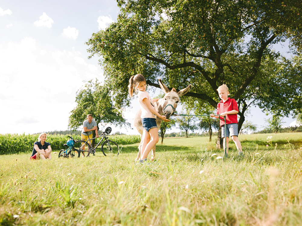 snack20da20viaggio20per20bambini20ciclabile20del20danubio