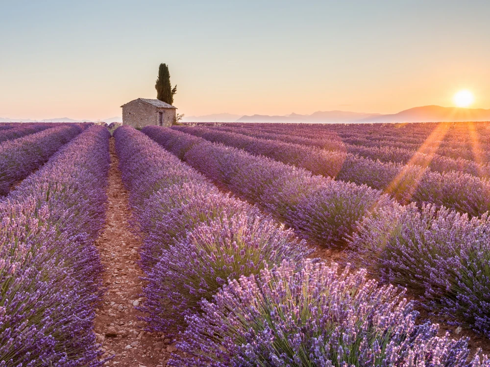 Itineraries in Provence: photography, nature and ancient cities