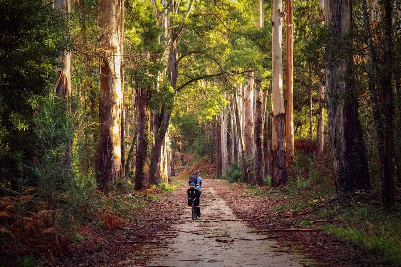 Sustainable tourism: what is it and how to be responsible while traveling?