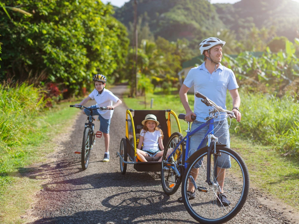 transporting-children-by-bicycle-essential-accessories image