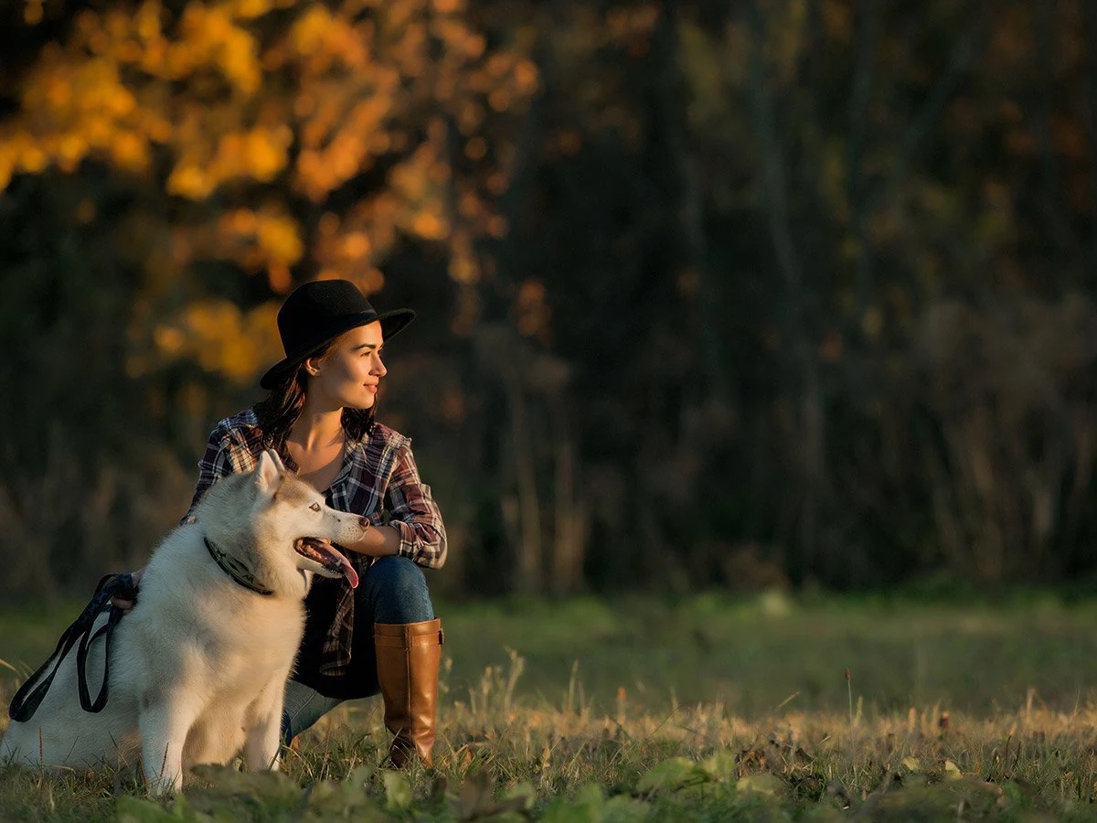 Traveling on foot and by bike with the dog: 5 useful tips to prepare