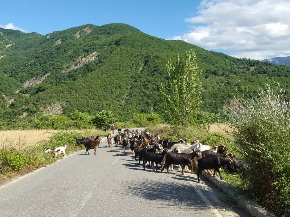 albania-unesco-cycling-tour