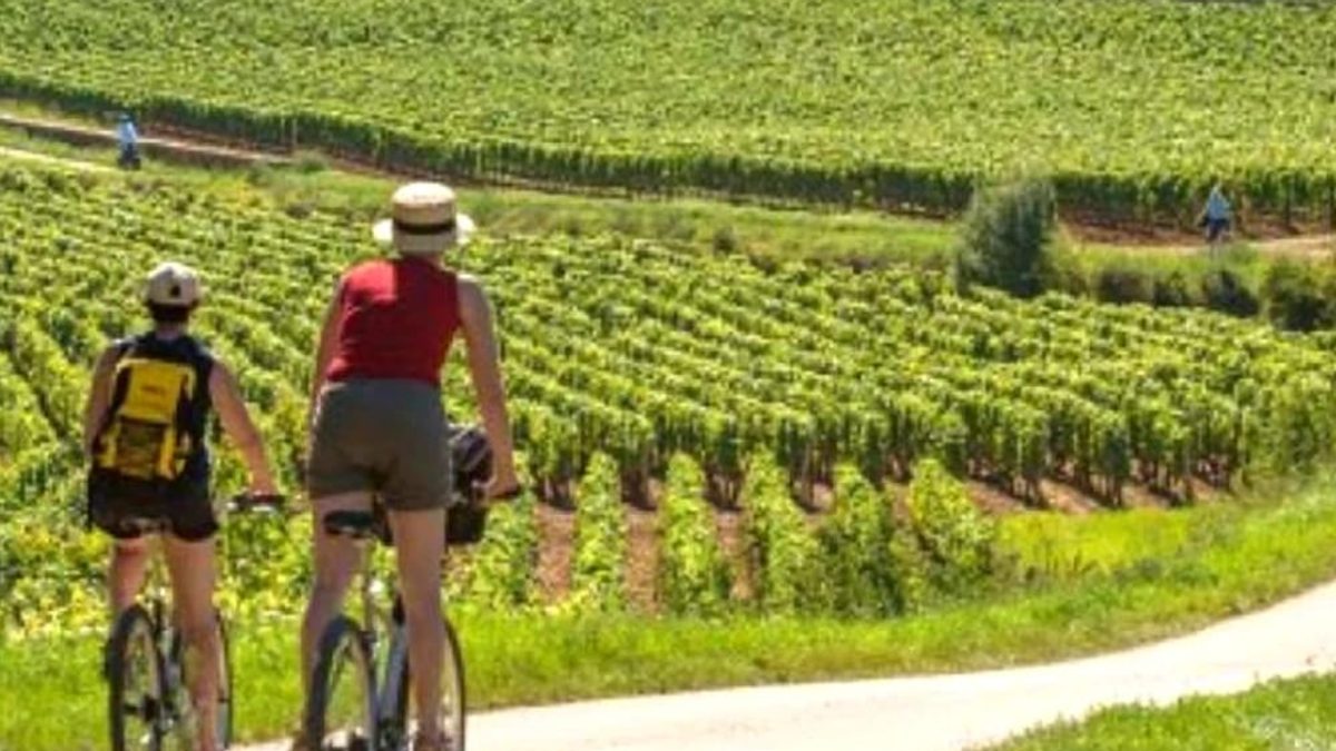 discovering-beaujolais-by-bike