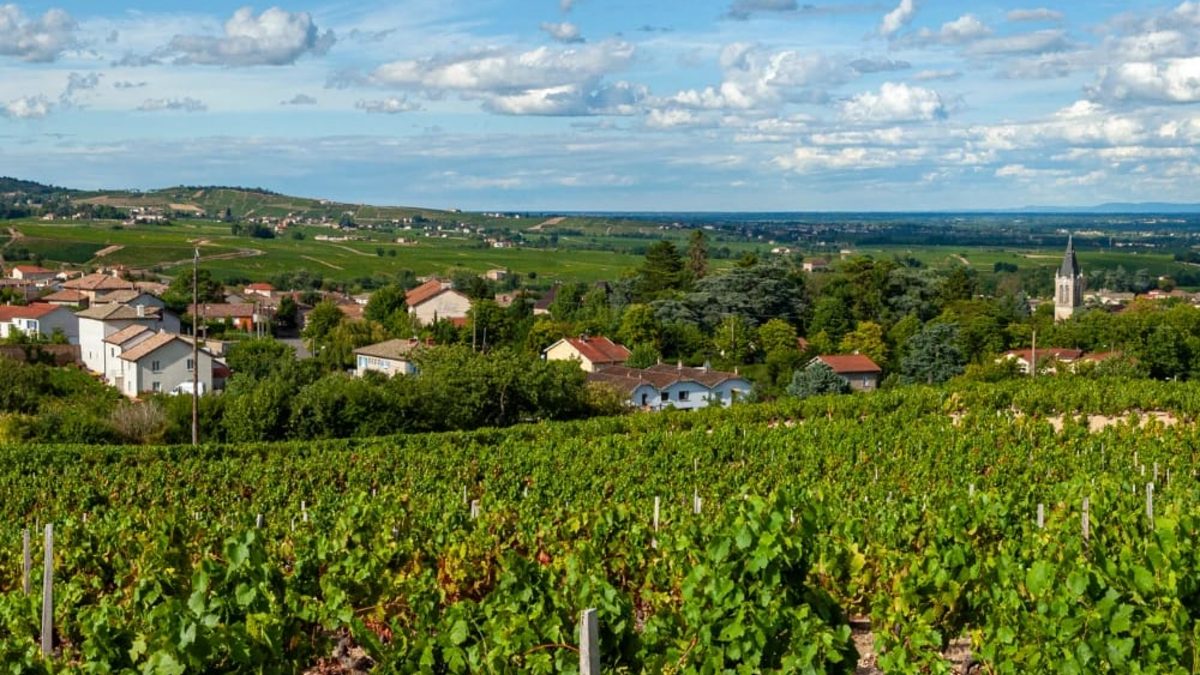 discovering-beaujolais-by-bike