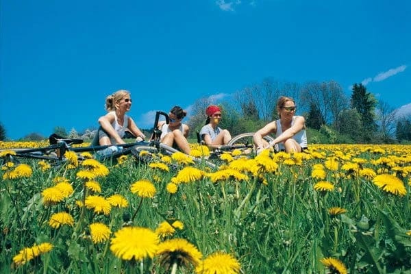 carinthian-lakes-loop-cycling-austria-alpine