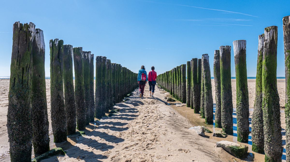 Historic Towns and coastal Holland by Sail and Bike historic-towns-coastal-holland-sail-bike