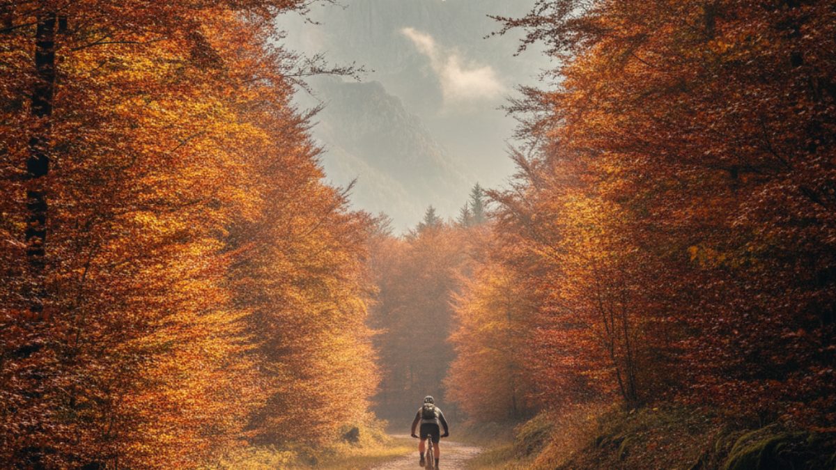 Lakes and Cities: From Slovene Alps to Country Capital slovenia-lakes-cities-bike-tour
