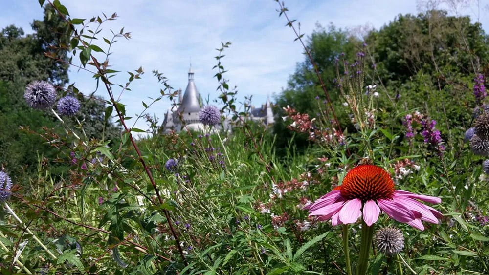 loire-castles-superior-cycling-stay