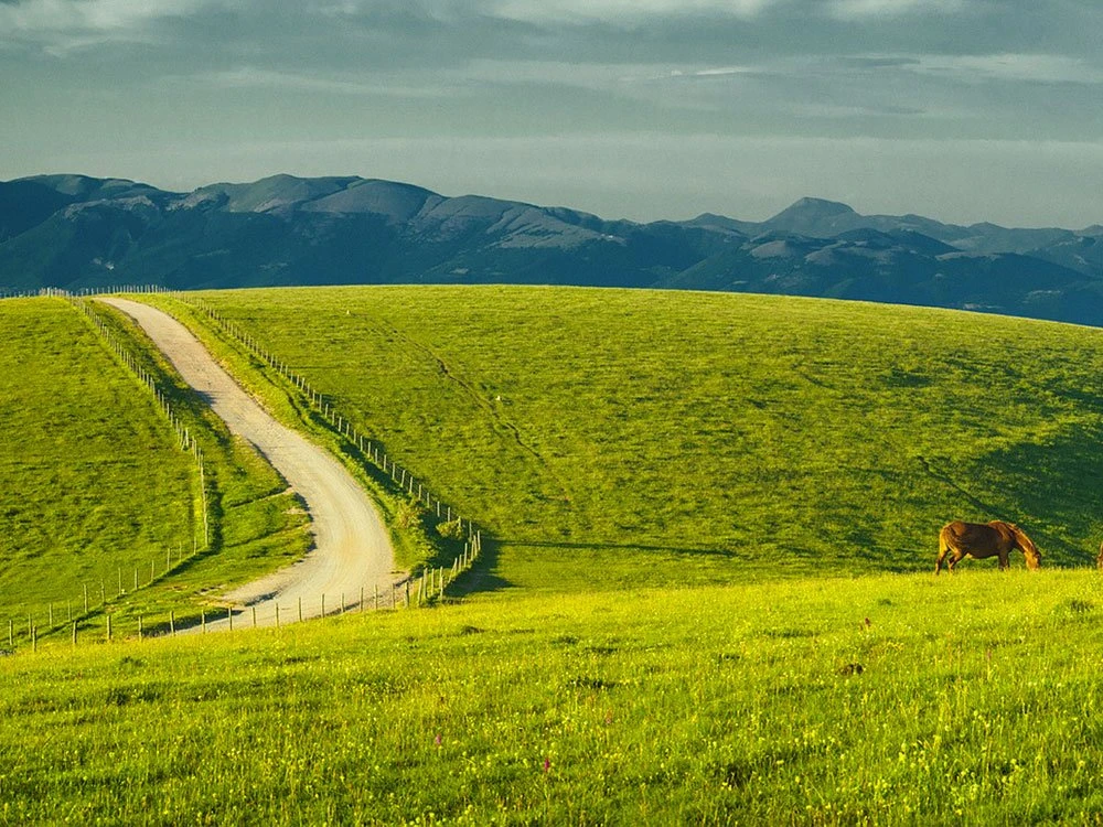Cycling the Umbrian Valley: 5-Day Tour through Assisi, Spoleto and Montefalco cycling-umbrian-valley-5-day-assisi-spoleto-montefalco