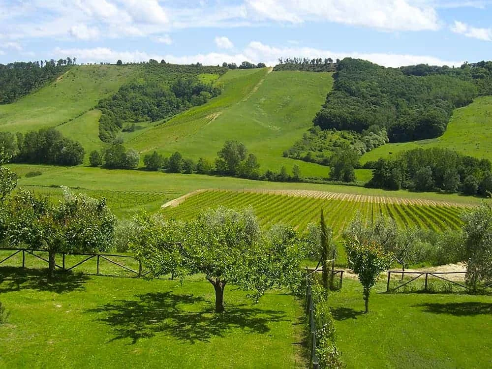 Cycling the Umbrian Valley: 5-Day Tour through Assisi, Spoleto and Montefalco cycling-umbrian-valley-5-day-assisi-spoleto-montefalco