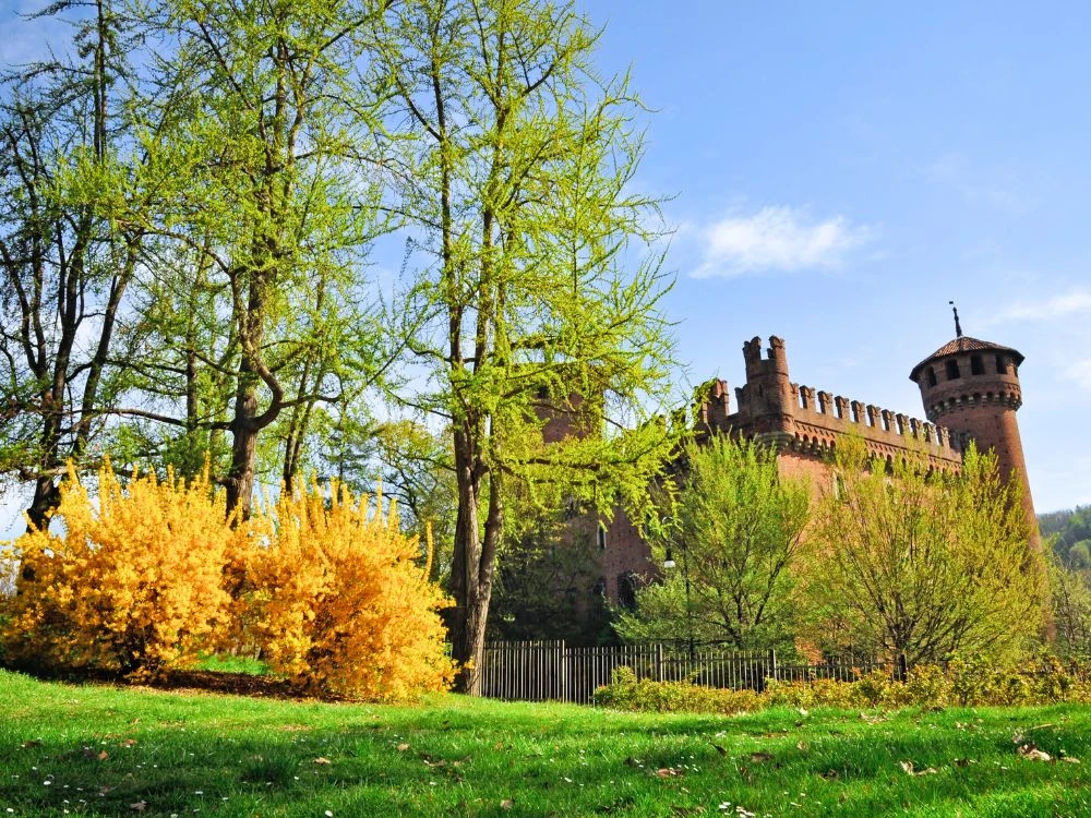 Piedmont Castles and Parks Family Cycling Tour piedmont-castles-parks-family-cycling-tour