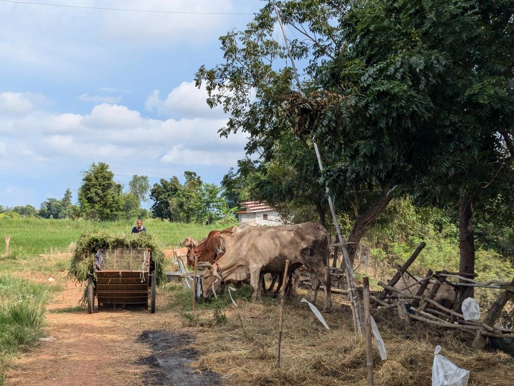 Thailand Heritage Plains via Uthai Thani thailand-heritage-plains-via-uthai-thani