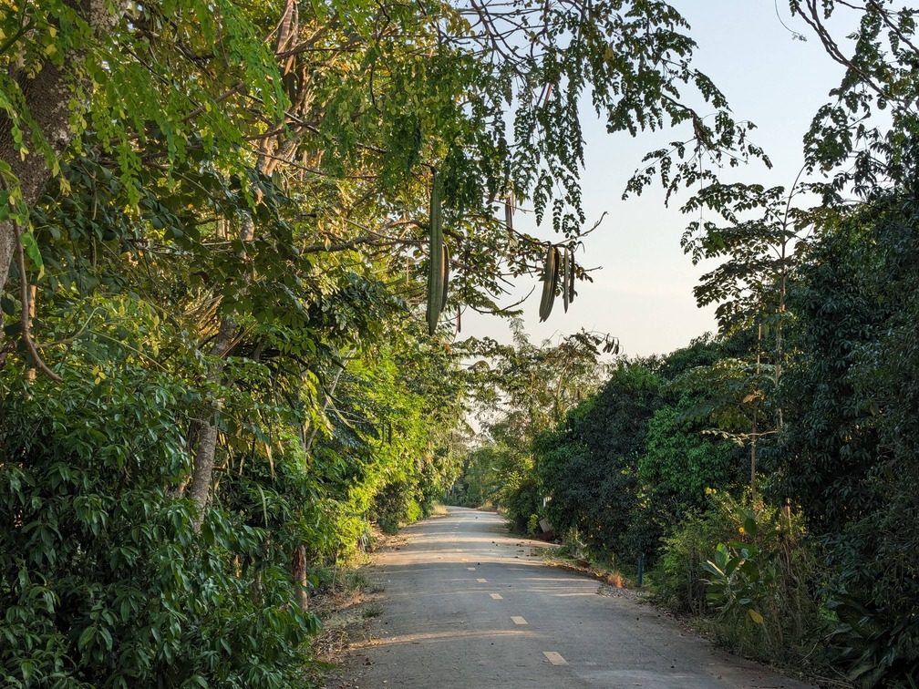 Thailand Heritage Plains via Uthai Thani thailand-heritage-plains-via-uthai-thani