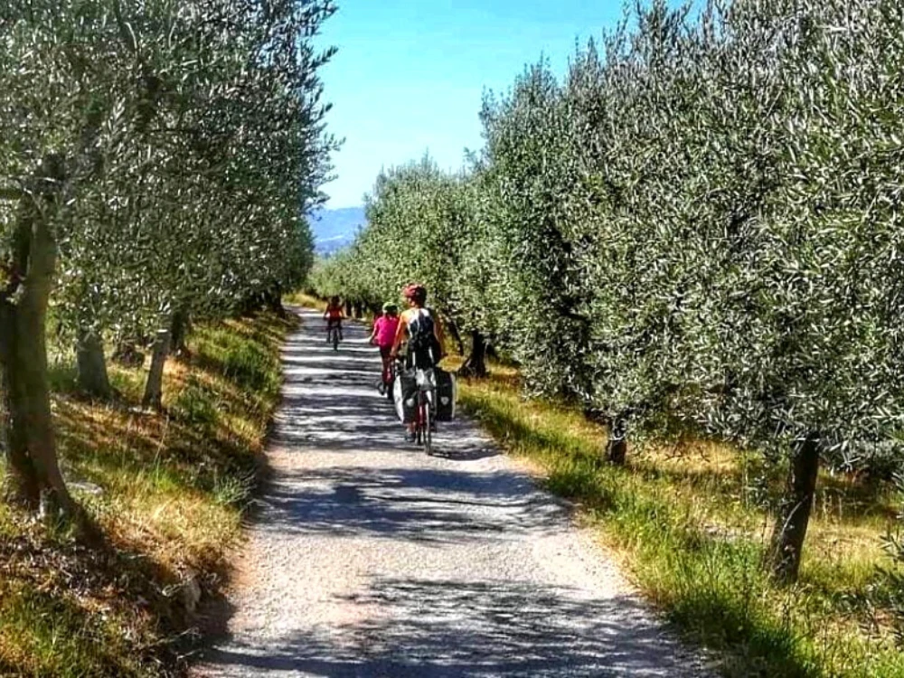 surprising-umbria-5-day-cycling-assisi-spoleto