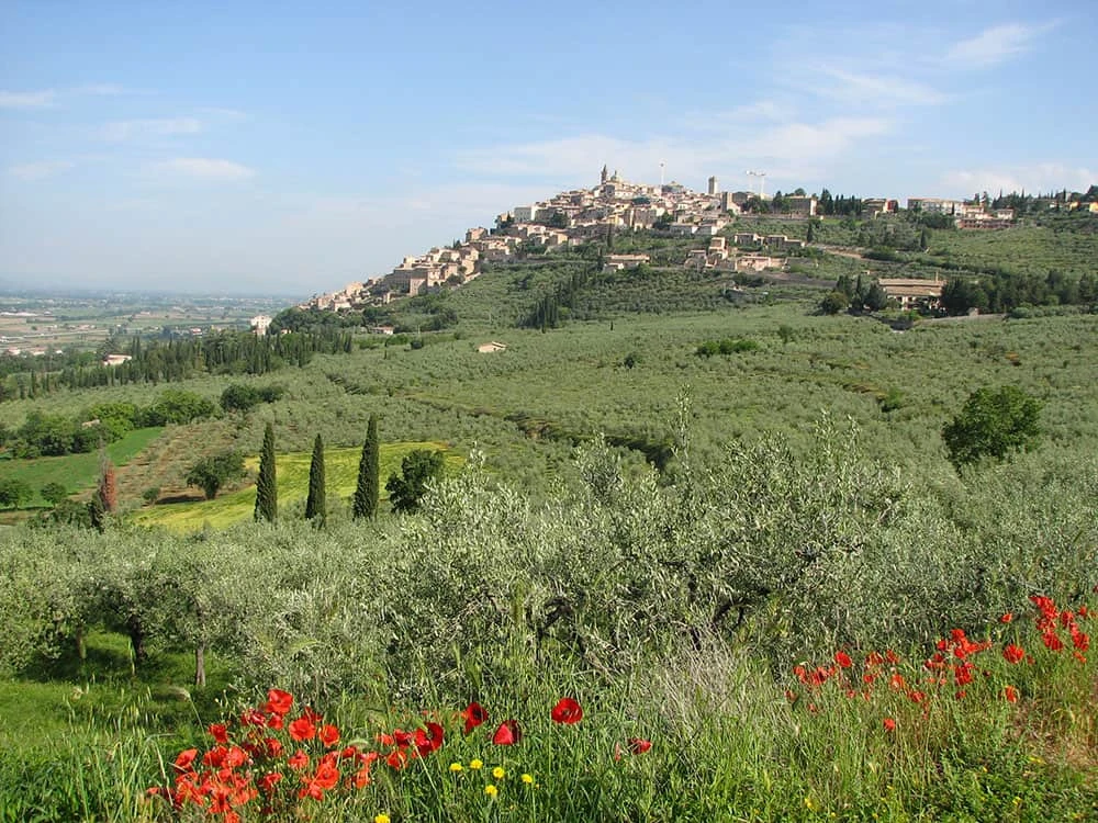Surprising Umbria: 5-Day Cycling Tour from Assisi to Spoleto surprising-umbria-5-day-cycling-assisi-spoleto