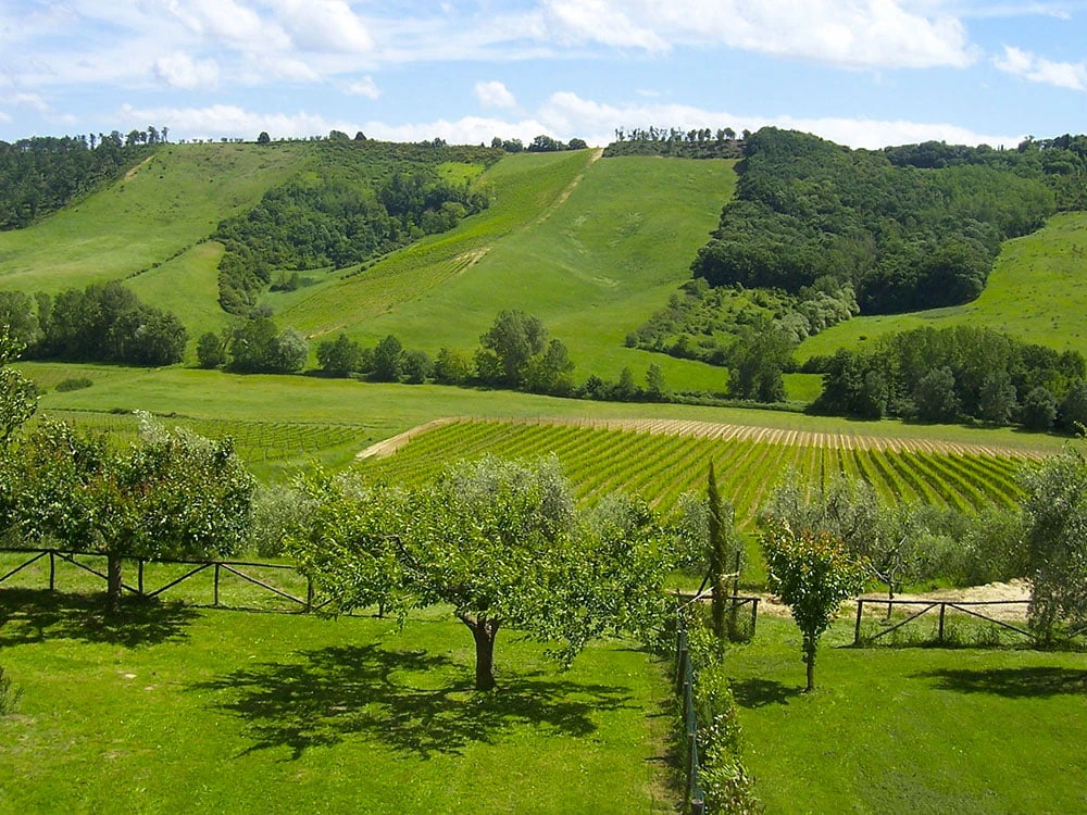 Surprising Umbria: 7-Day Cycling Tour from Assisi to Spoleto surprising-umbria-7-day-cycling-assisi-spoleto