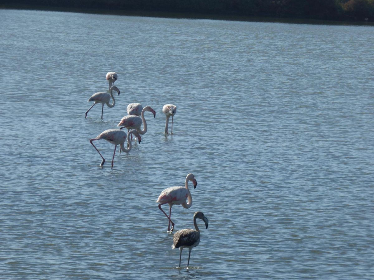 wild-algarve-cycling-tour