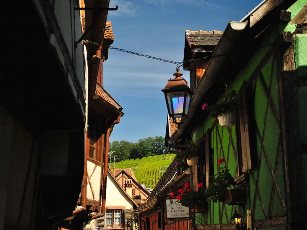 central-alsace-german-rhine-and-alsatian-wine
