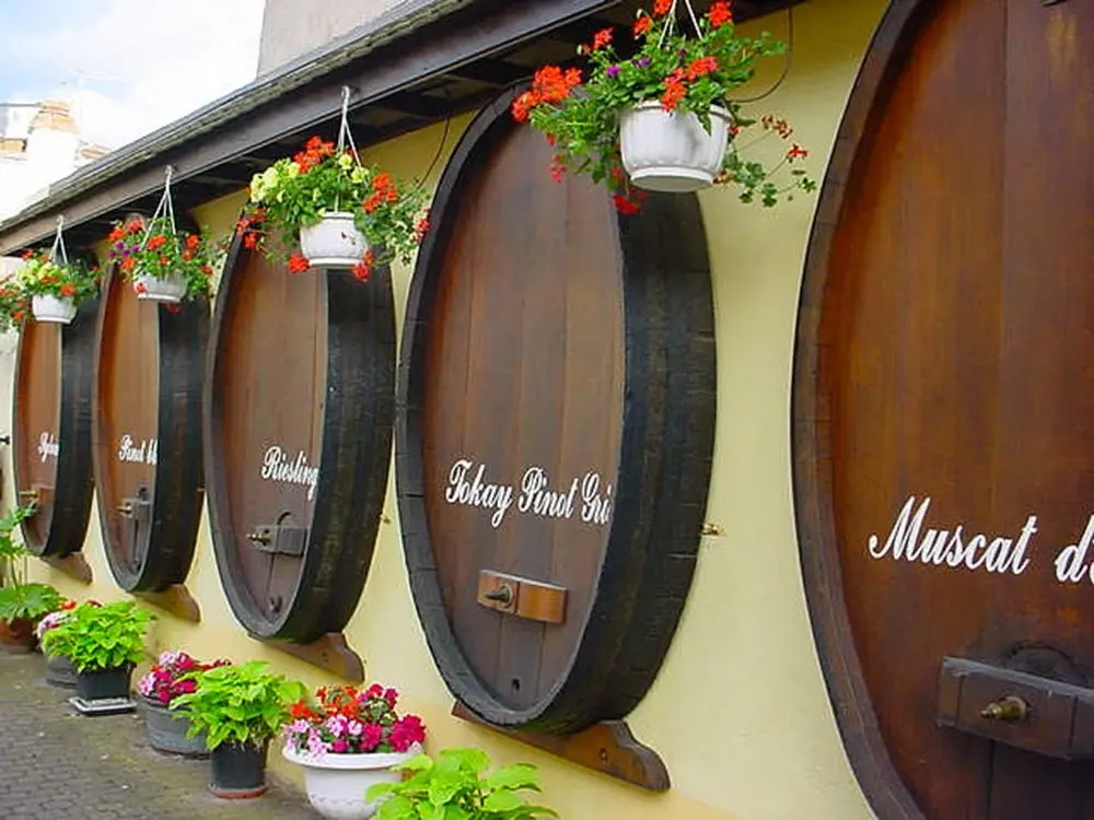 central-alsace-german-rhine-and-alsatian-wine