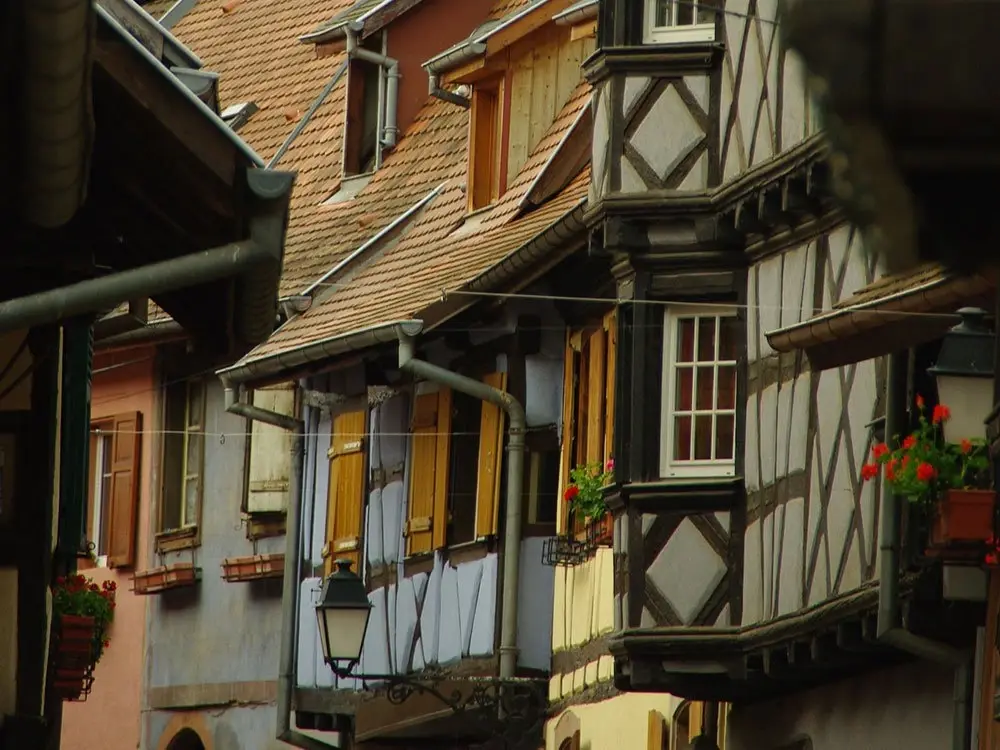 central-alsace-german-rhine-and-alsatian-wine