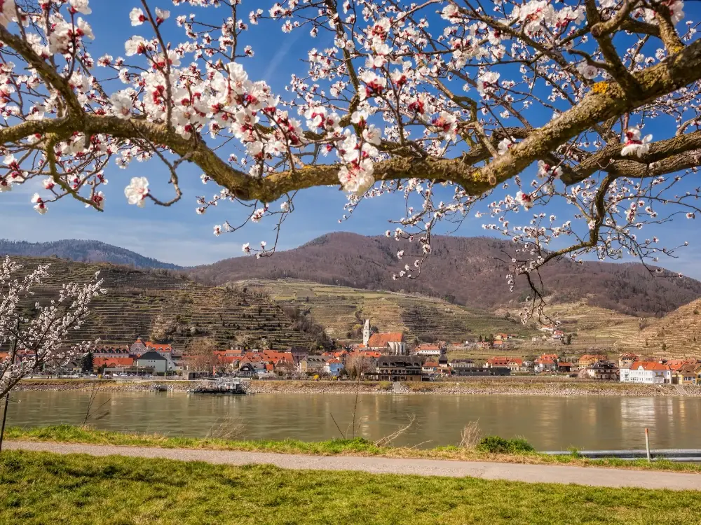 danube-cycle-path-on-the-trail-of-culture