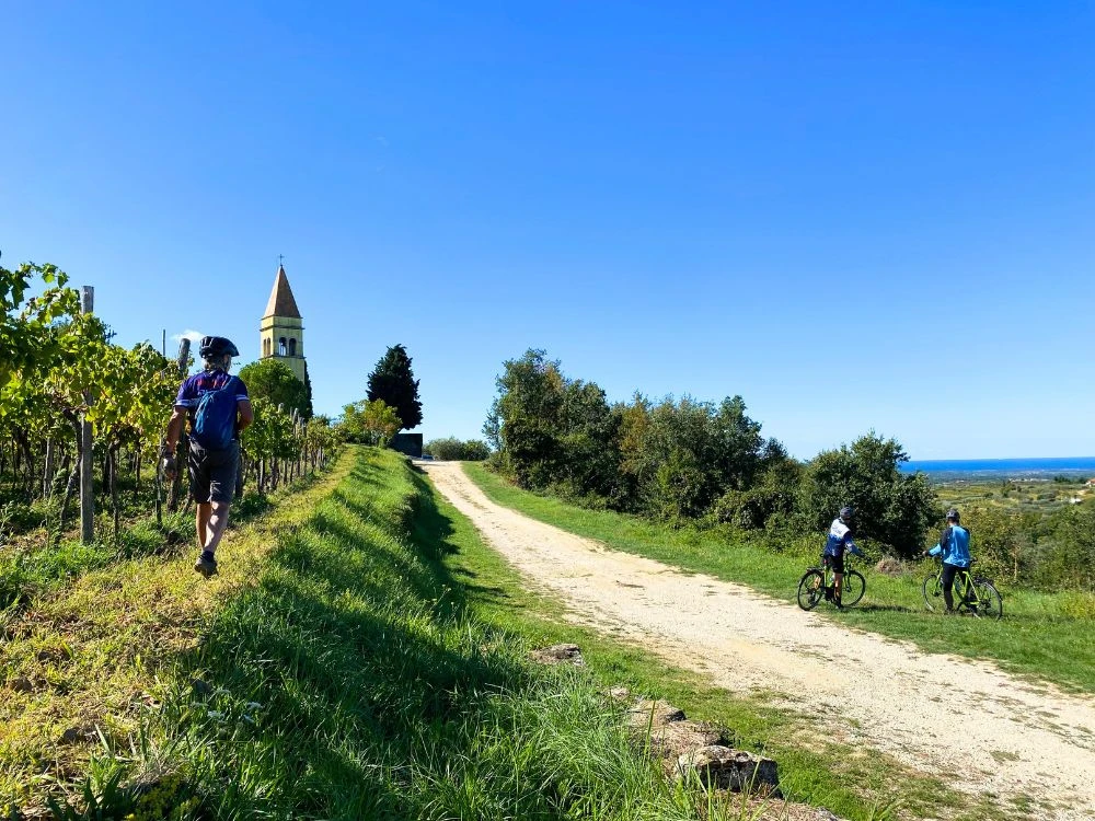 Istrian Wine Roads Short Break — 5-Day Self-Guided Cycling Tour - cycling tour