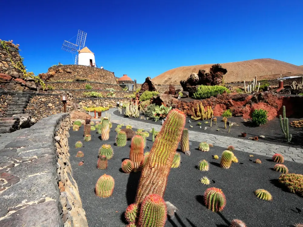 lanzarote-land-of-the-volcanoes