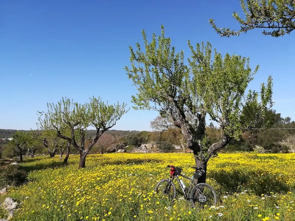 matera-and-puglia-self-guided-tour