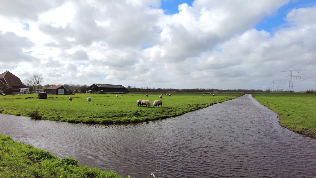 Northern Holland and Friesland by Boat and Bike northern-holland-friesland-boat-bike