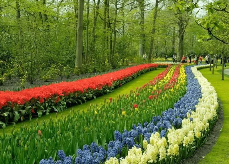 5-Day Tulip Tour Premium by Boat and Bike 5-day-tulip-tour-premium-boat-bike
