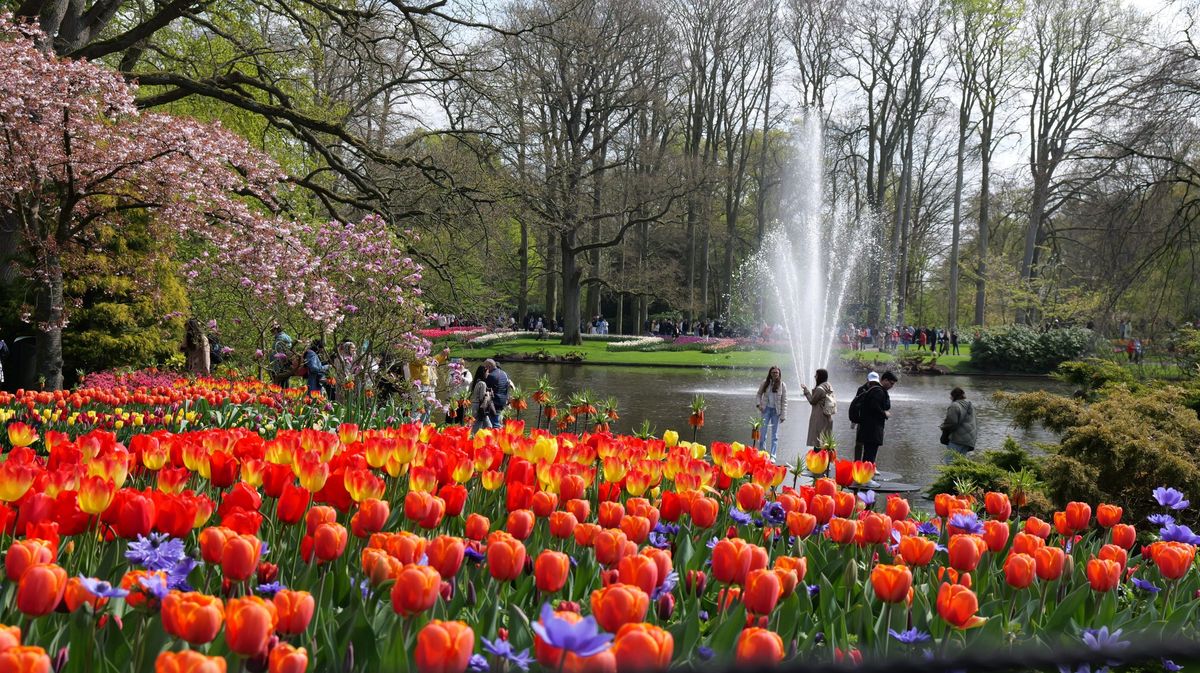 8-day-tulip-tour-premium