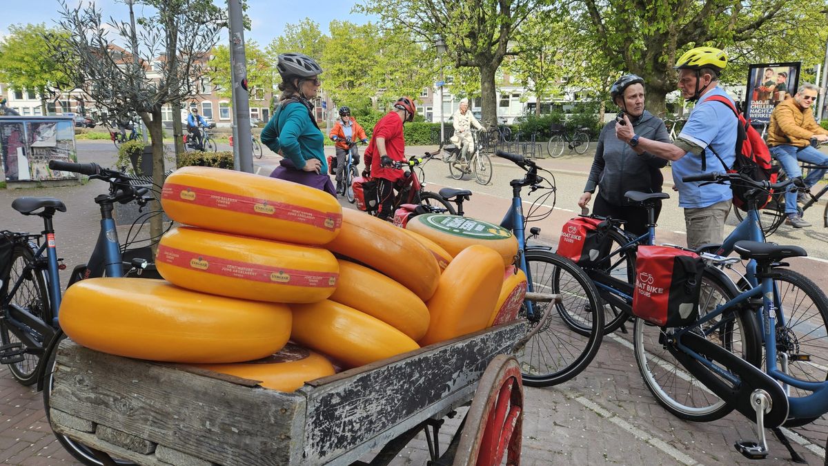8-day-tulip-tour-premium