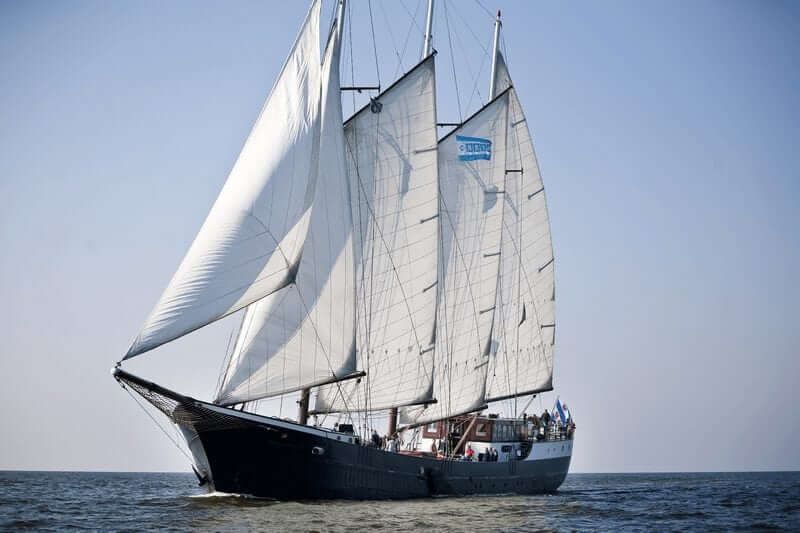 Holland Tulip Tour by Sail and Bike sail-bike-tulip-tour
