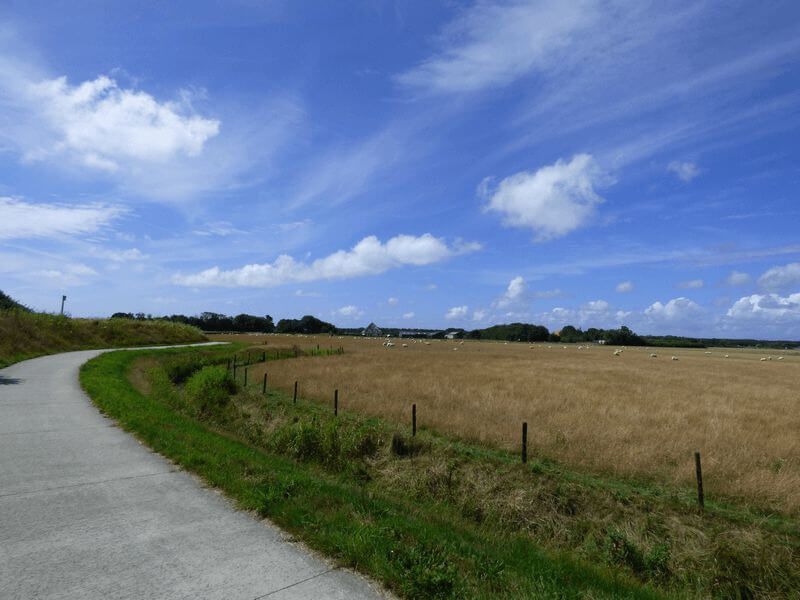 Holland Tulip Tour by Sail and Bike sail-bike-tulip-tour