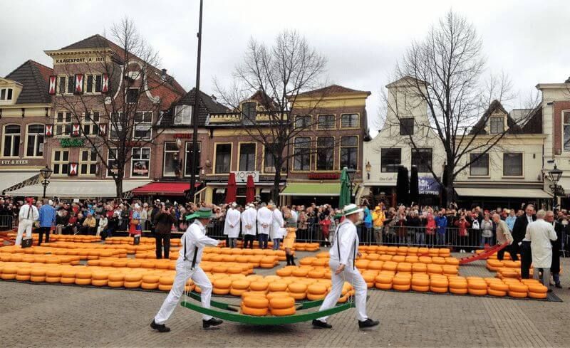 Holland Tulip Tour by Sail and Bike sail-bike-tulip-tour