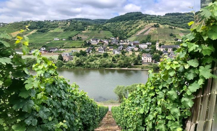 Rhine and Moselle by Boat and Bike: Koblenz to Koblenz rhine-and-moselle-koblenz-koblenz
