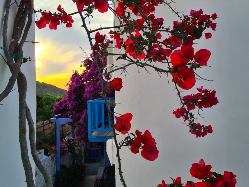 mamma-mia-islands-sporades-boat-ebike