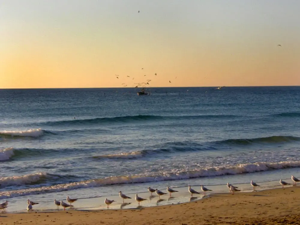The Scent of the Sea: Nice – Genoa by Bike the-scent-of-the-sea-nice-genoa-by-bike